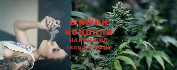 винт Горно-Алтайск