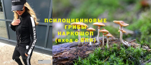 бутират Горняк