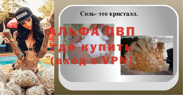 винт Горно-Алтайск