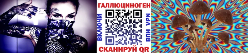 Галлюциногенные грибы Cubensis Пошехонье