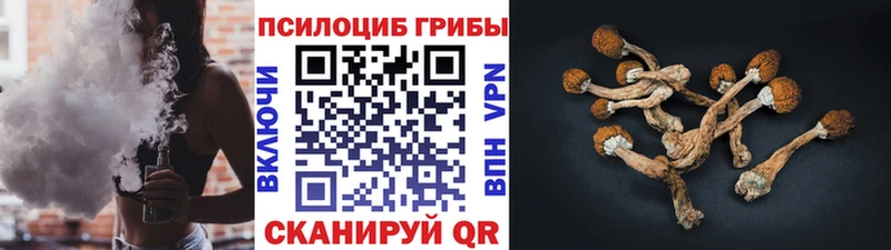 Галлюциногенные грибы Cubensis  Купить закладки  Пошехонье 
